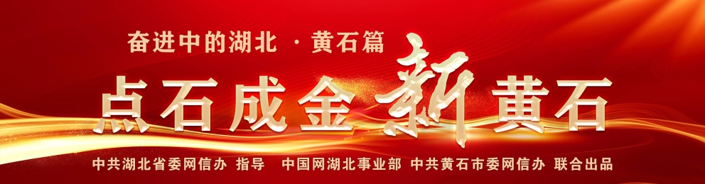 http://hb.china.com.cn/2025-/03/image.jpg